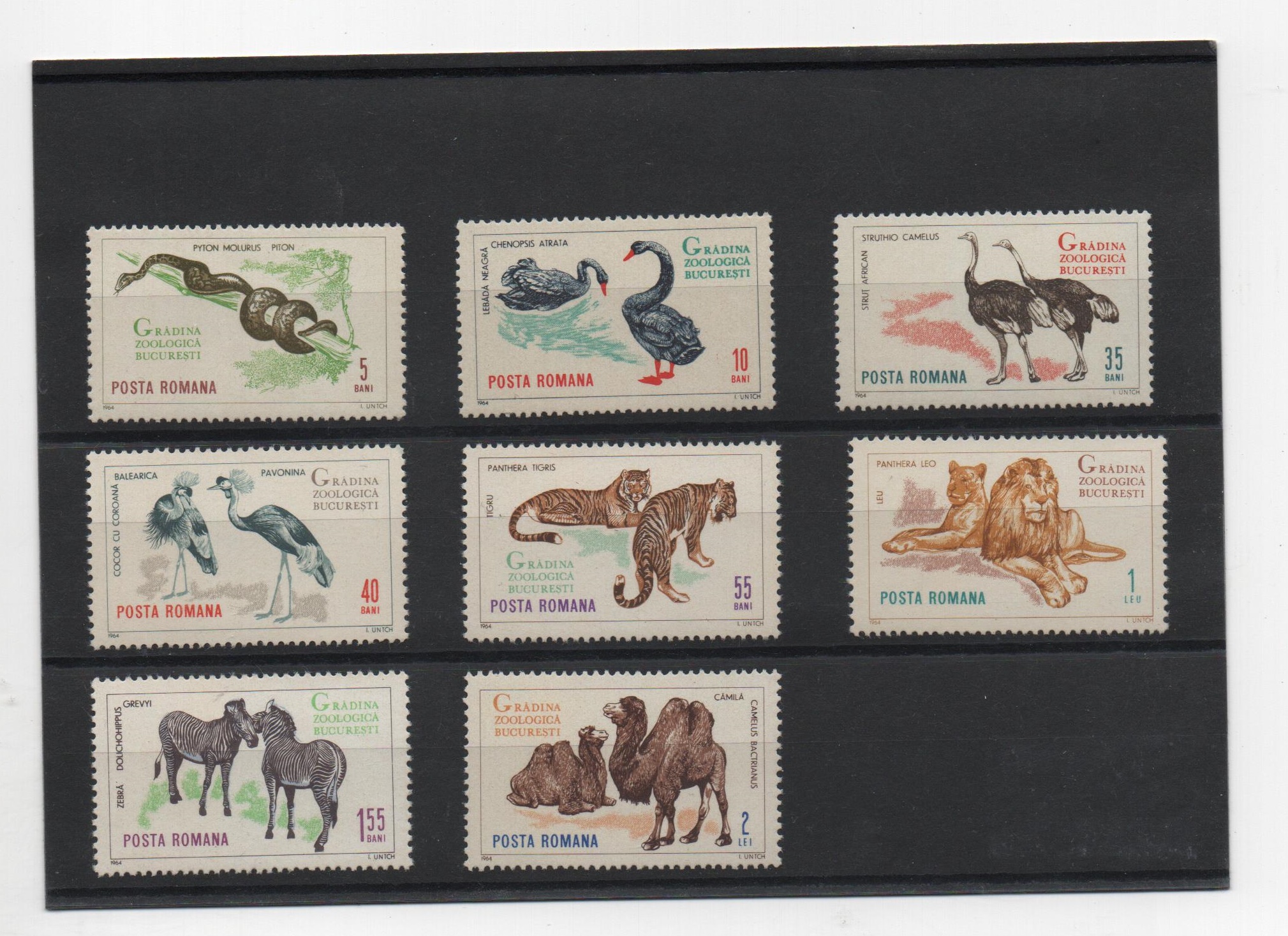 RUMANIA DEL AÑO 1964 FAUNA VARIADA